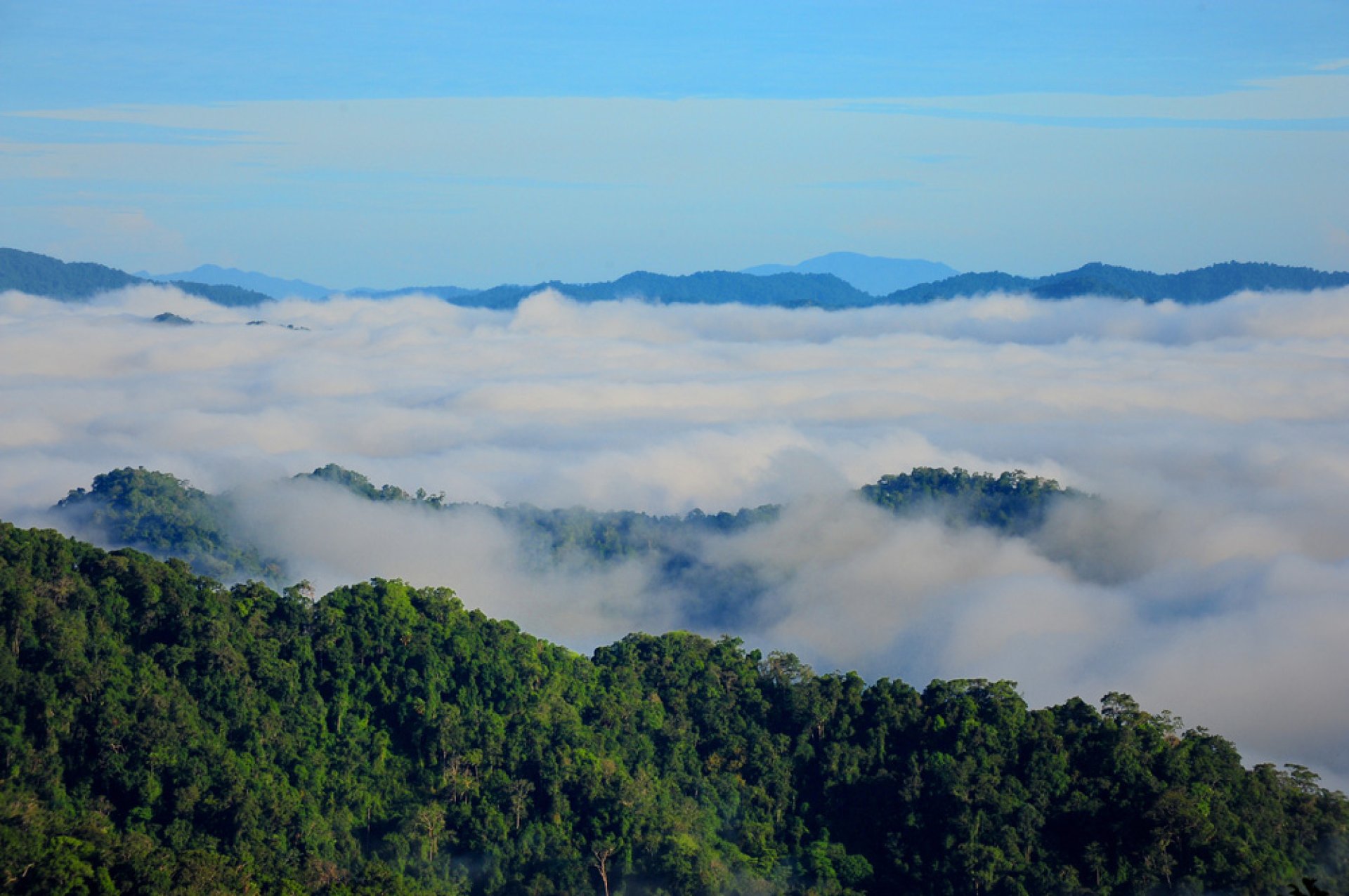 เขาพะเนินทุ่ง ทะเลหมอกเมืองเพชร
